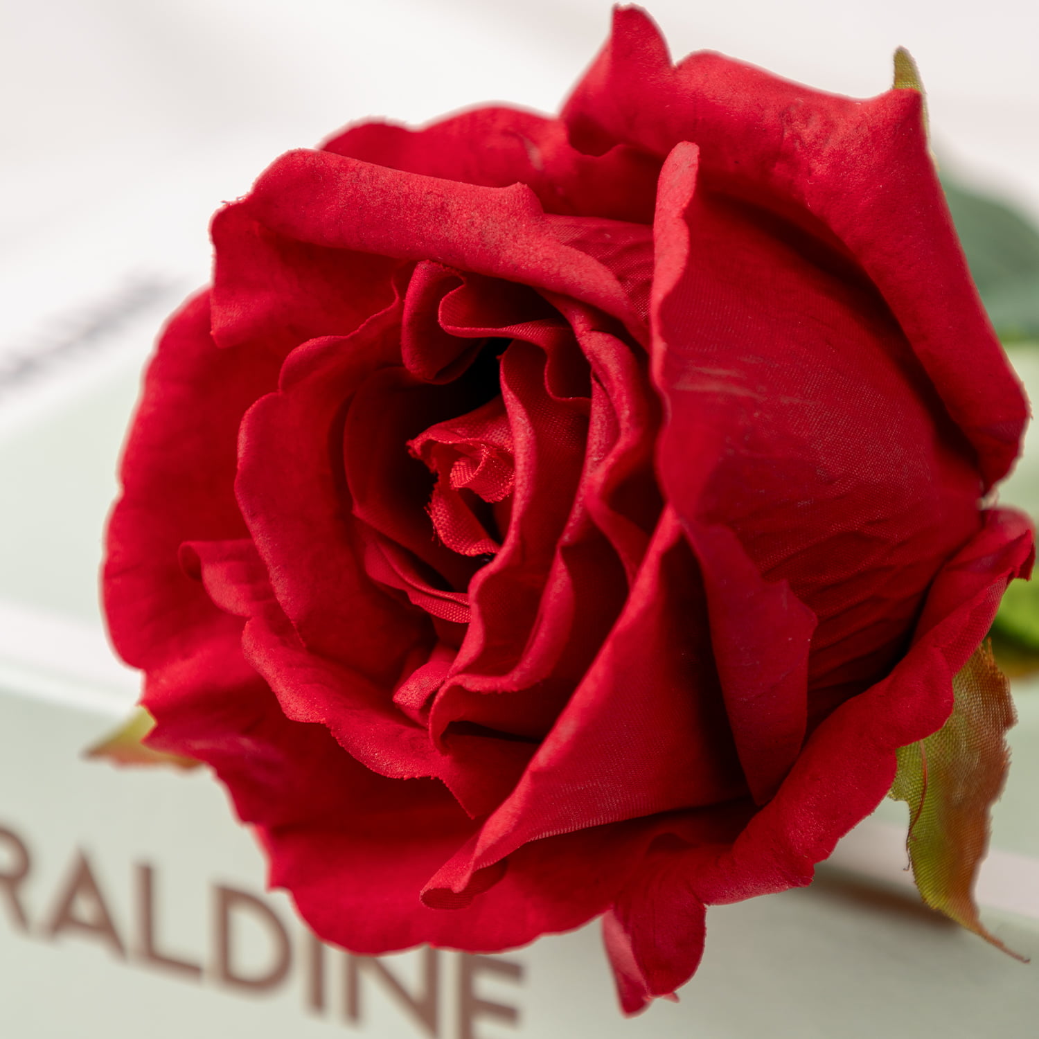 72cm Real-Touch Bonnie Rose Stem