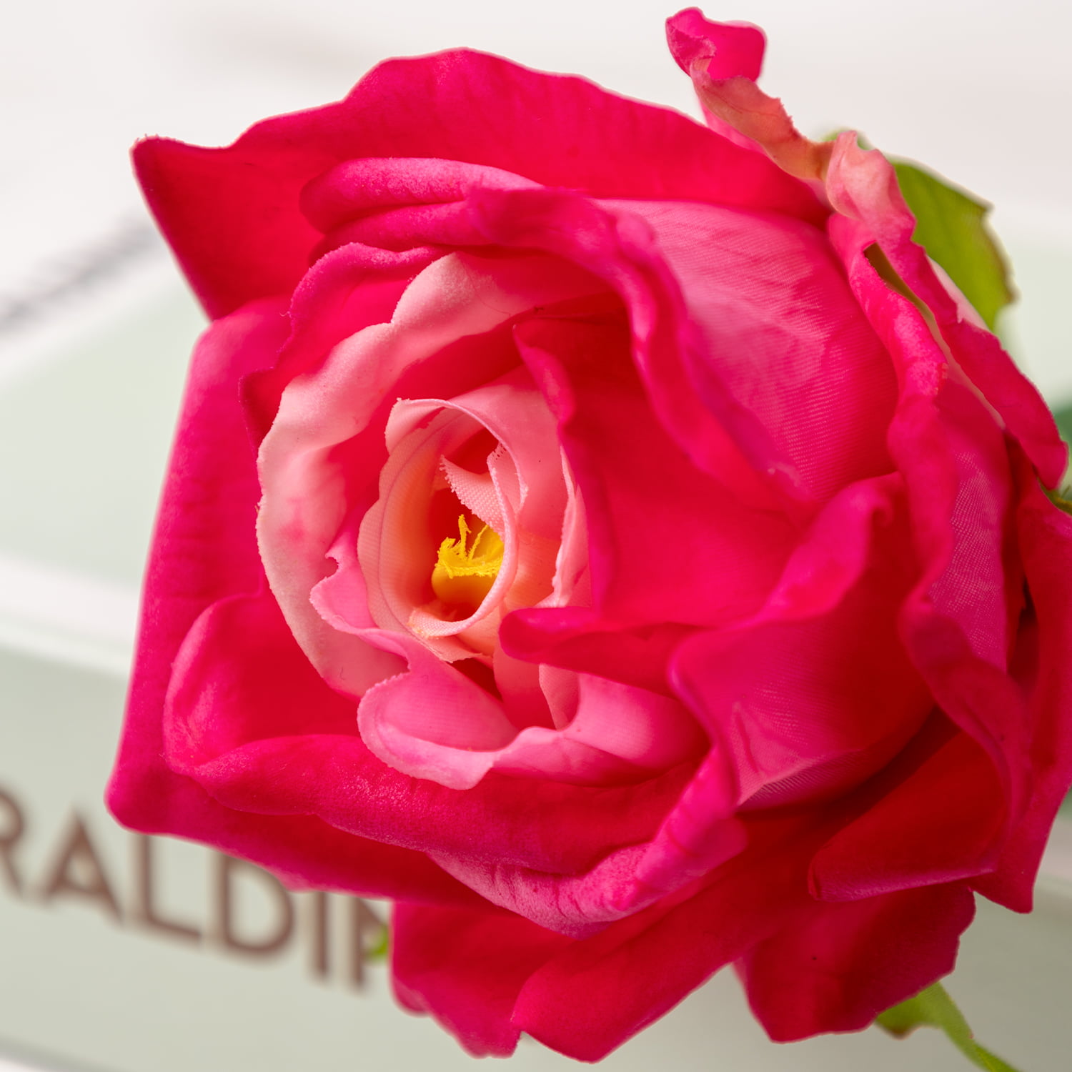 72cm Real-Touch Bonnie Rose Stem