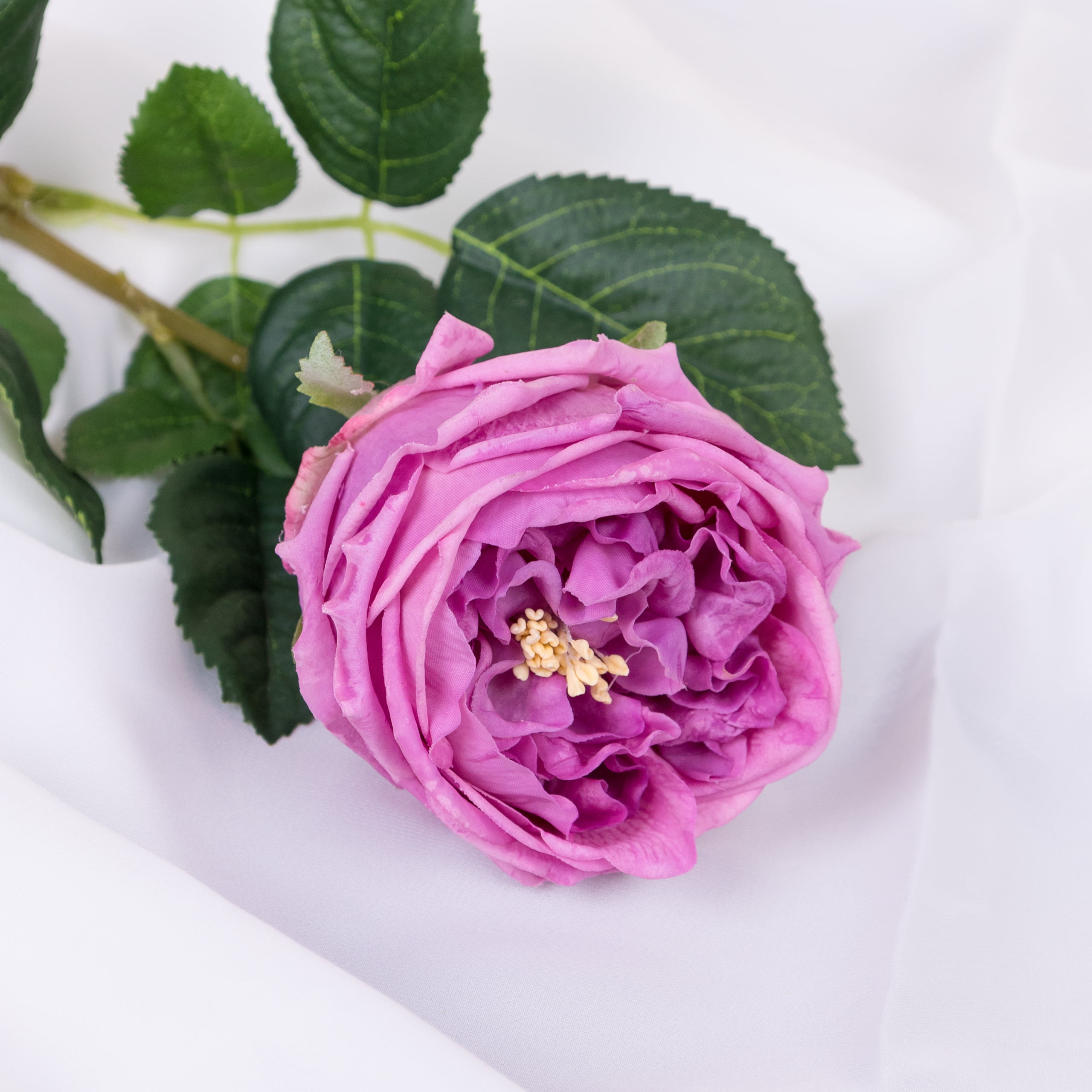 60cm Real-Touch Austin Rose Stem