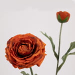 49cm Real-Touch 2 Heads Annie Ranunculus Spray