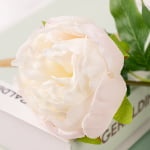 60cm Real-Touch Lydia Peony Stem