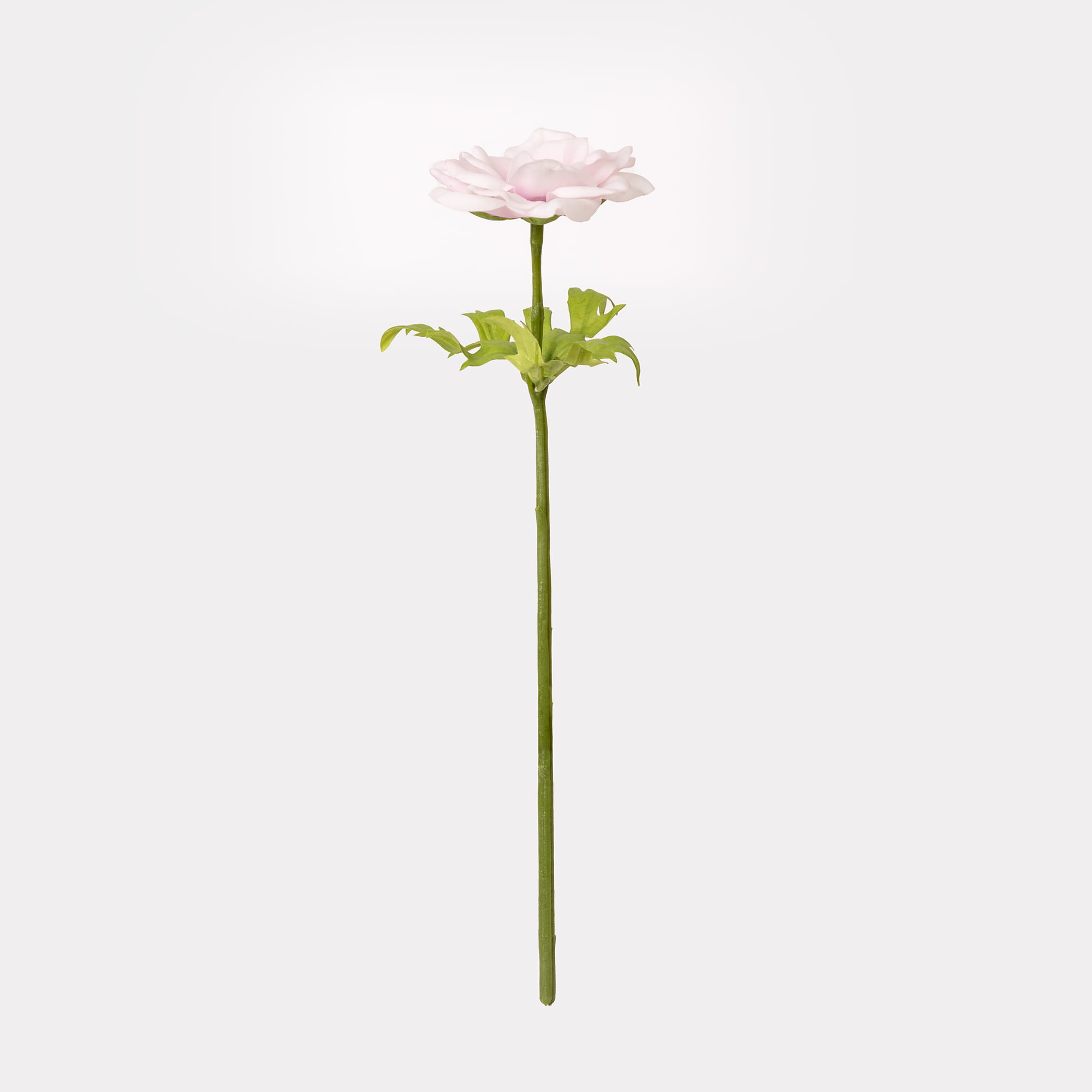 40cm Real-Touch Anemone Stem