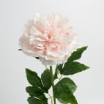 76cm Real-Touch Peony Stem