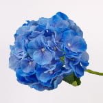 52cm Real-Touch Hydrangea Stem