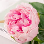 60cm Real-Touch Lydia Peony Stem