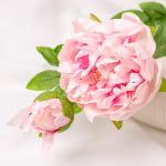 70cm Real-Touch Lydia Peony Stem
