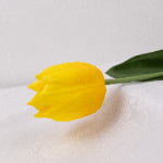46cm Real-Touch Tulip Stem