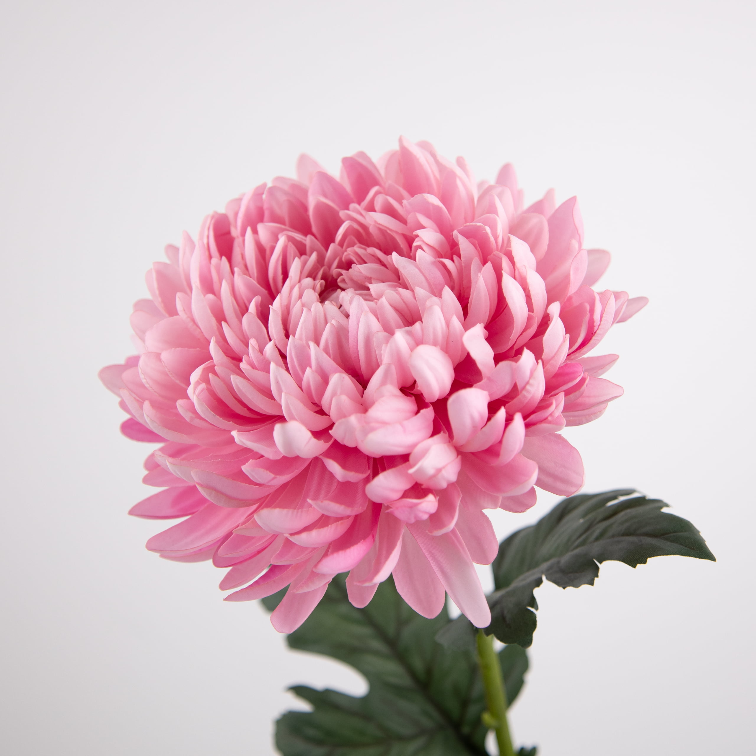 74cm Real-Touch Chrysanthemum Stem