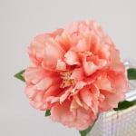 52cm Real-Touch Phoebe Peony Stem