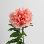 76cm Real-Touch Peony Stem