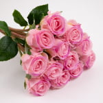 42cm Real-Touch 12 Heads Luna Rose Bundle