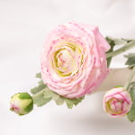49cm Real-Touch 3 Heads Annie Ranunculus Spray