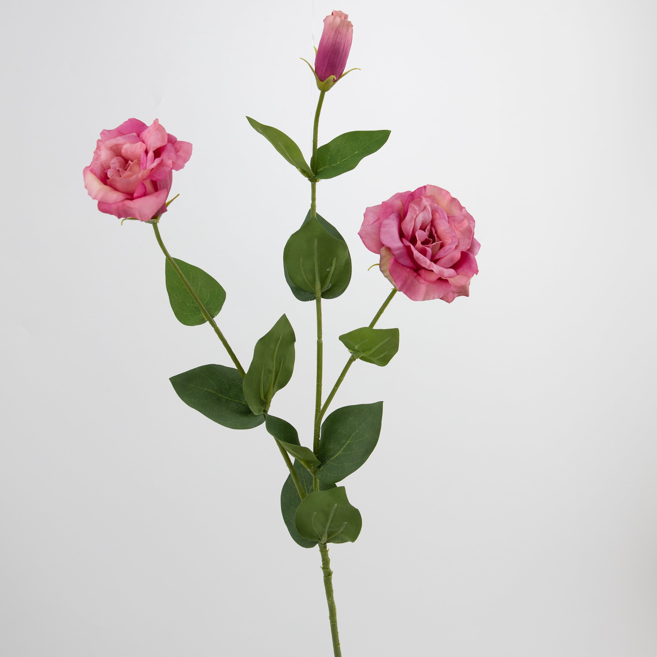 72cm Real-Touch Sibyl Lisianthus Stem