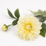 62cm Real-Touch Sharon Dahlia Stem
