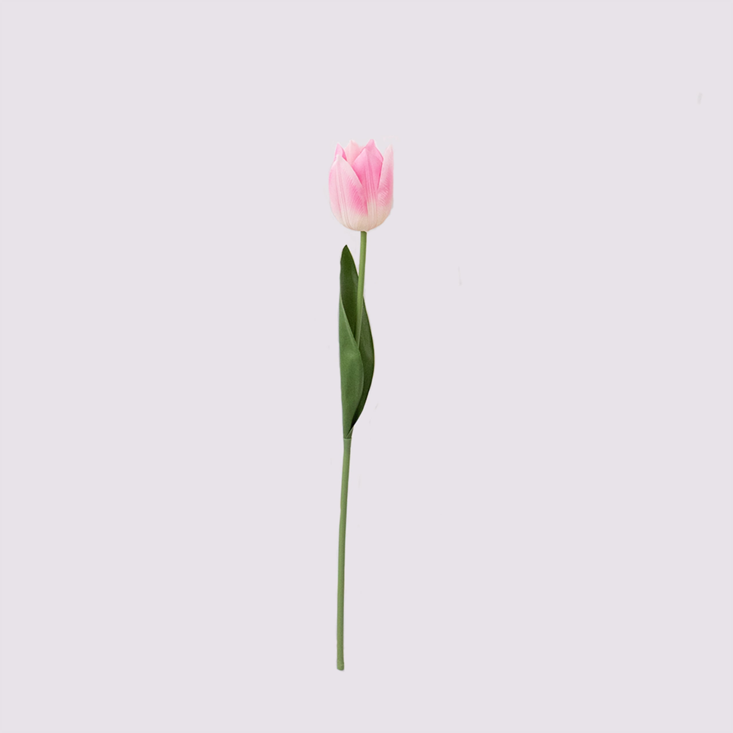 46cm Real-Touch Tulip Stem