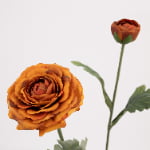 49cm Real-Touch 2 Heads Annie Ranunculus Spray