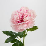 76cm Real-Touch Peony Stem