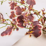 98cm Real-Touch 3 Heads Dancing Orchid Stem