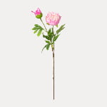 70cm Real-Touch Lydia Peony Stem