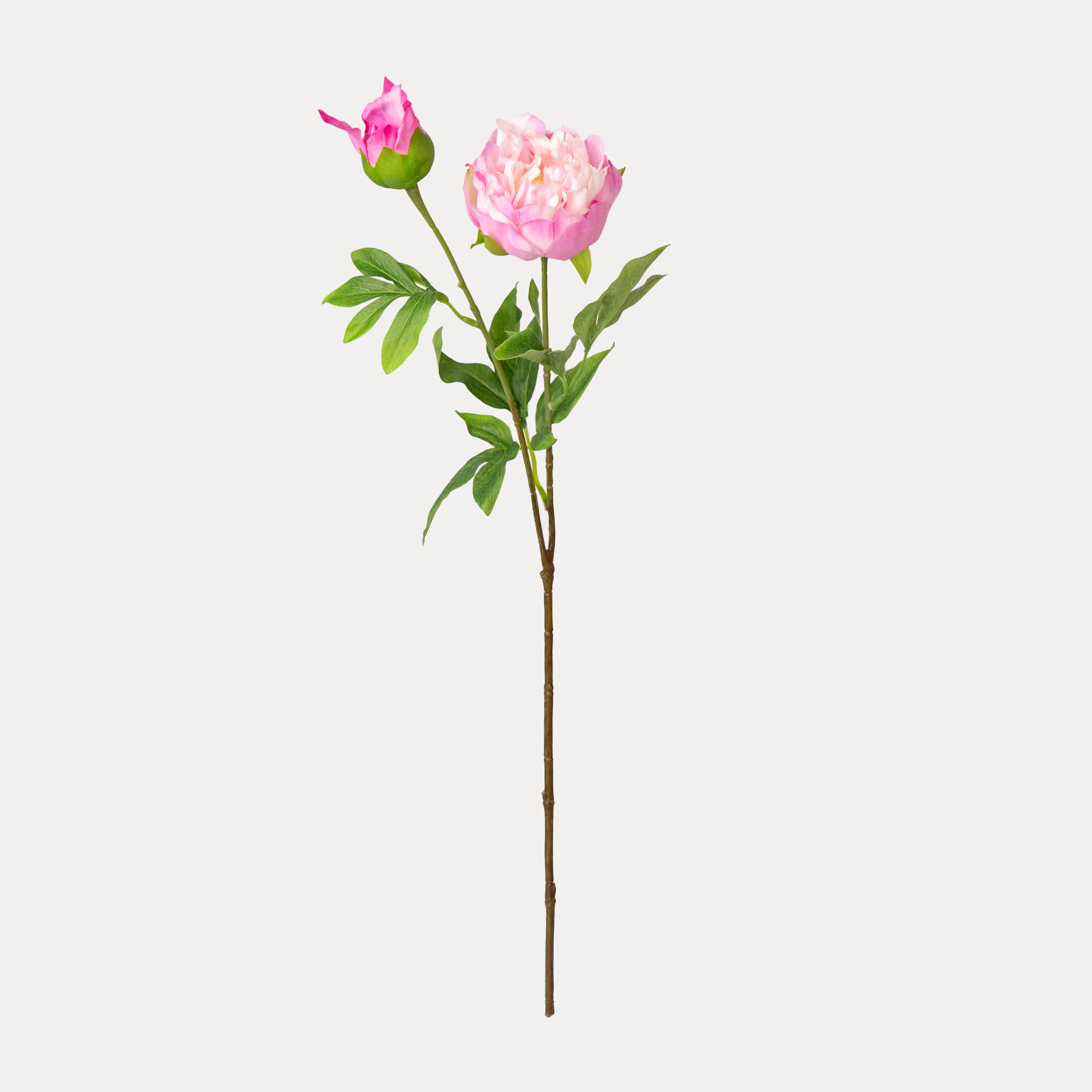70cm Real-Touch Lydia Peony Stem