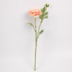 49cm Real-Touch 2 Heads Annie Ranunculus Spray