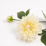 62cm Real-Touch Sharon Dahlia Stem