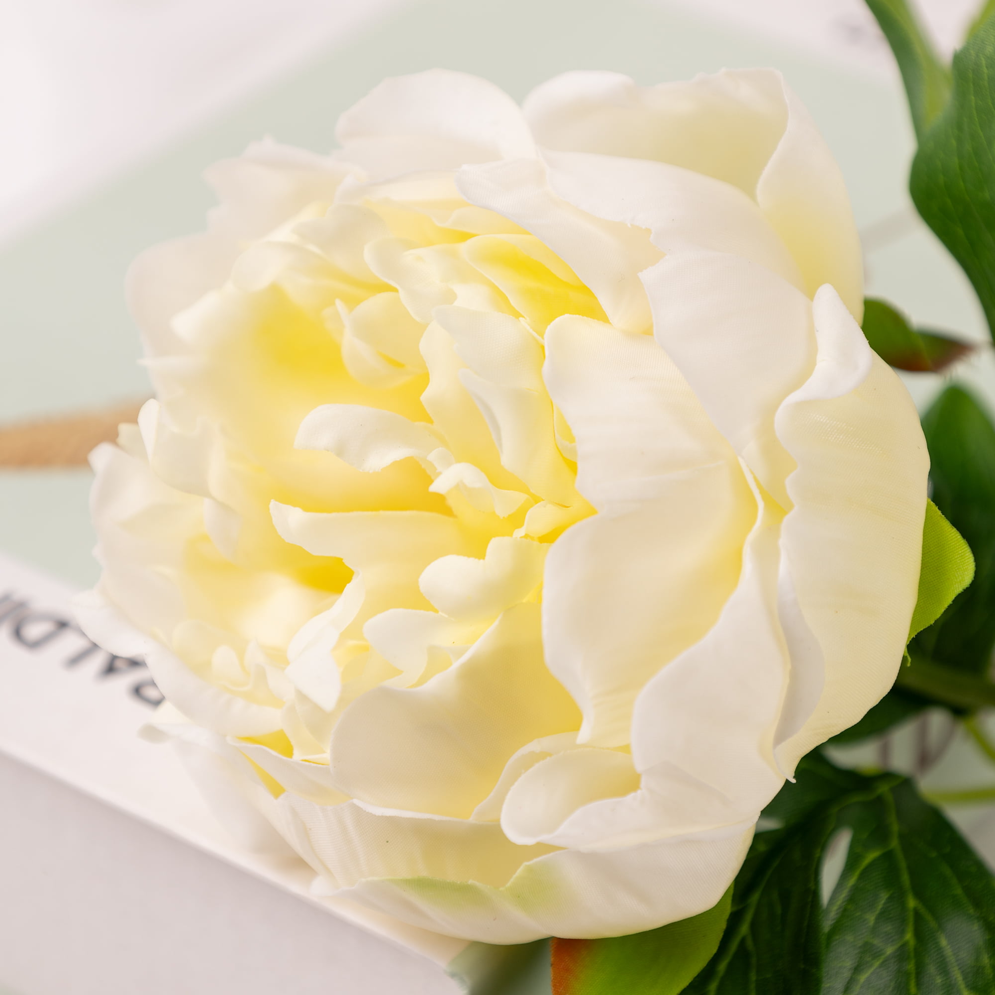 60cm Real-Touch Lydia Peony Stem