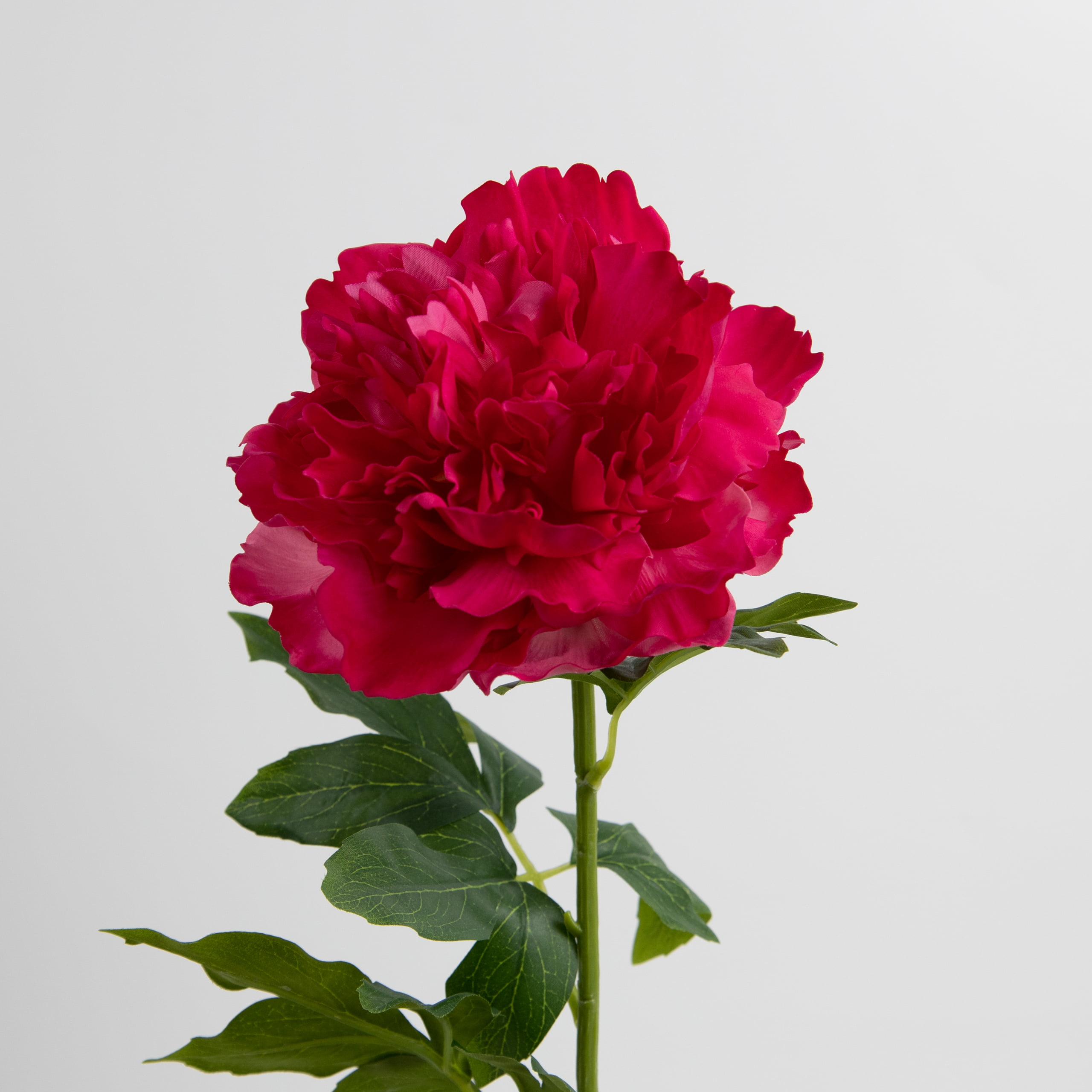 76cm Real-Touch Peony Stem