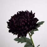 74cm Real-Touch Chrysanthemum Stem