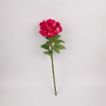 52cm Real-Touch Phoebe Peony Stem