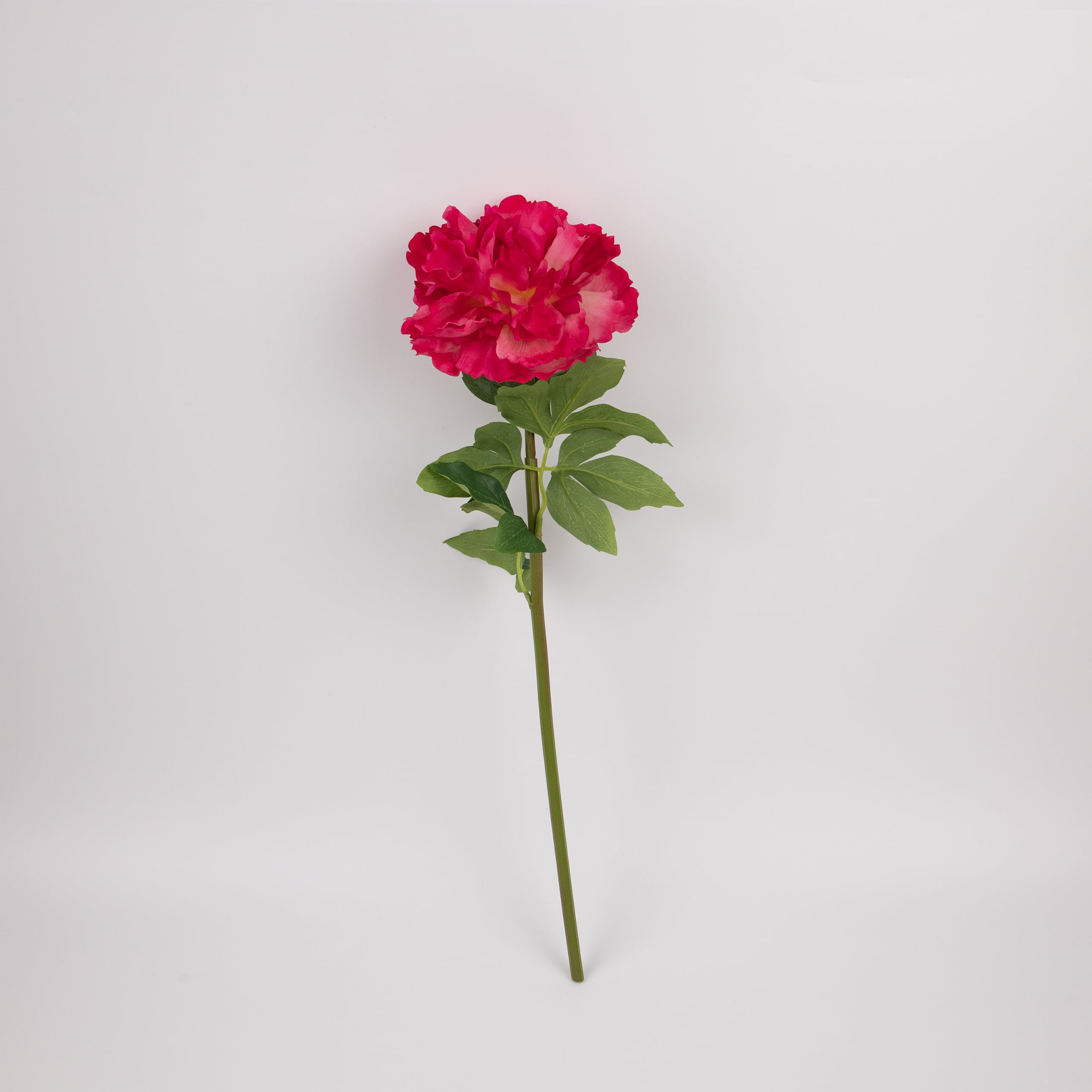 52cm Real-Touch Phoebe Peony Stem