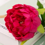 60cm Real-Touch Lydia Peony Stem