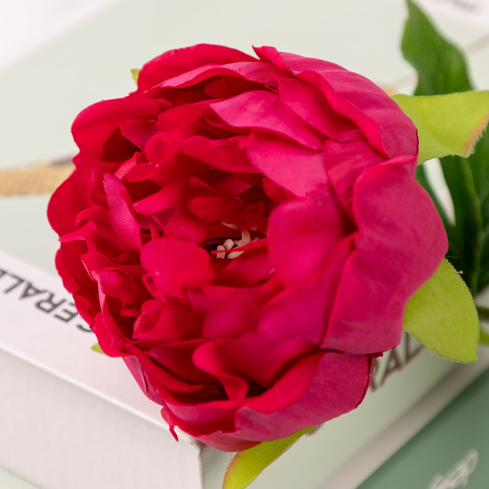 60cm Real-Touch Lydia Peony Stem
