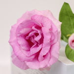 62cm Real-Touch Sibyl Lisianthus Stem