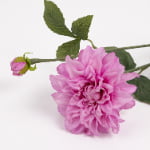 62cm Real-Touch Sharon Dahlia Stem