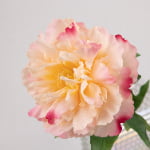 52cm Real-Touch Phoebe Peony Stem