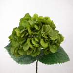 60cm Real-Touch Eve Hydrangea Stem