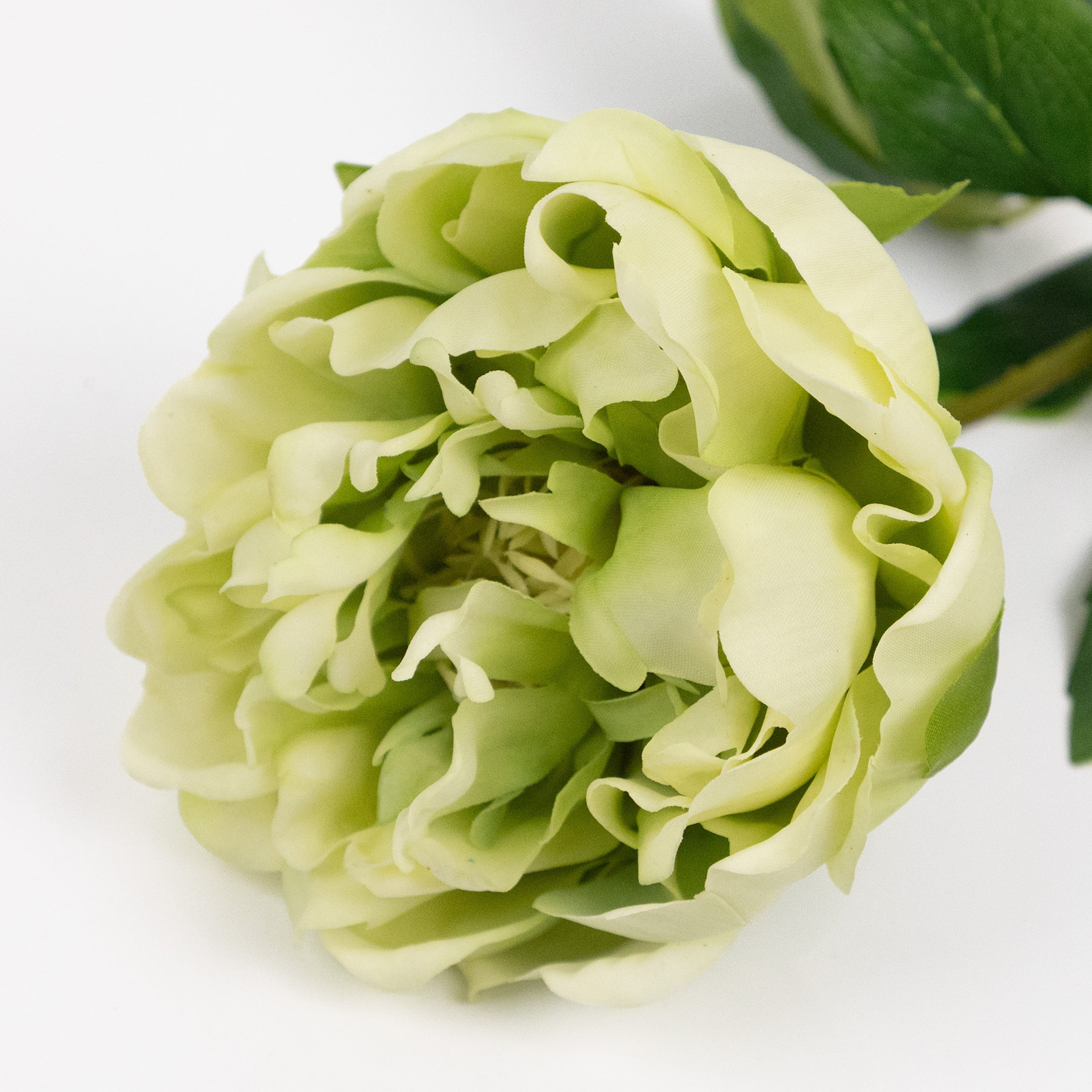 60cm Real-Touch Lydia Peony Stem