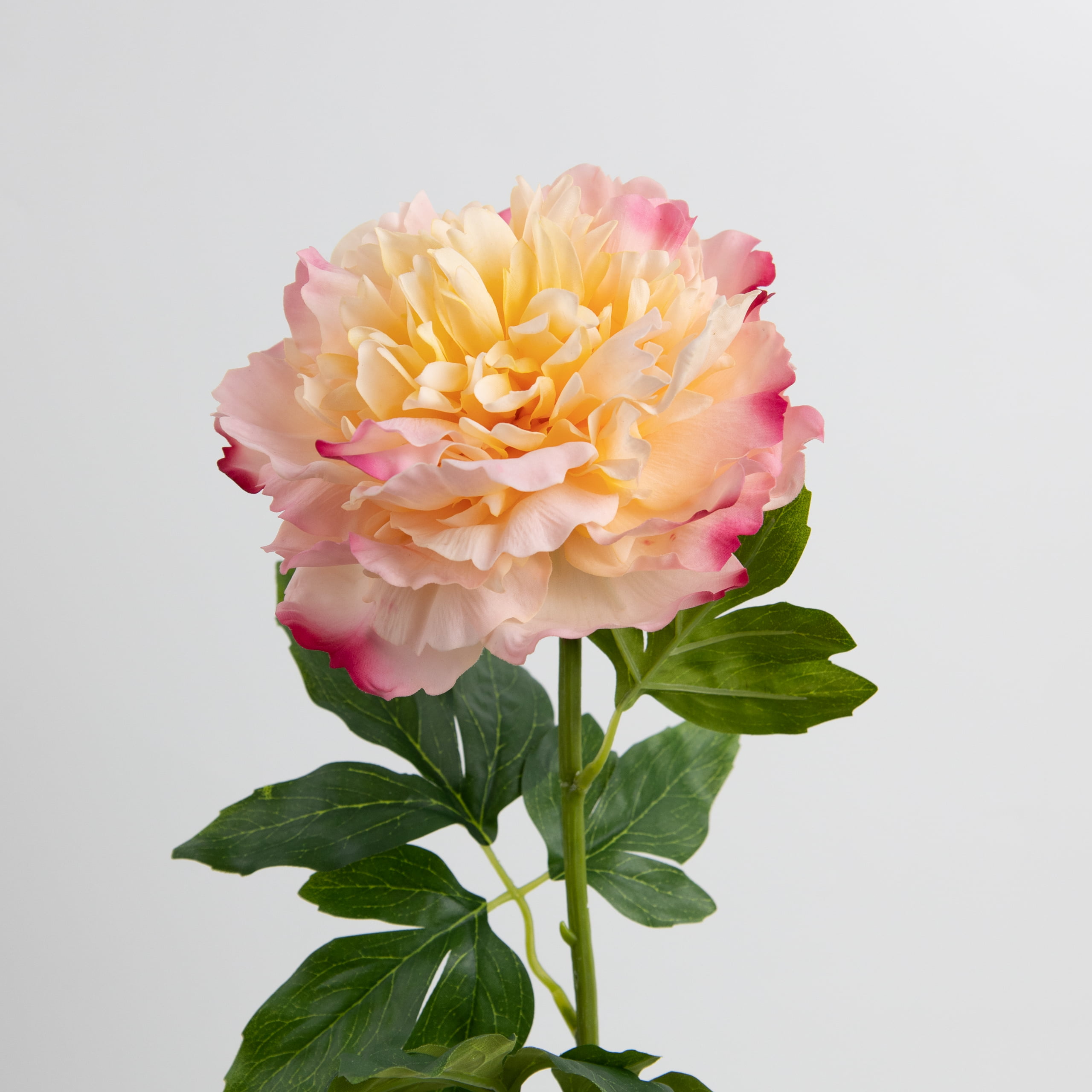 76cm Real-Touch Peony Stem