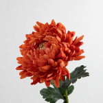 74cm Real-Touch Chrysanthemum Stem