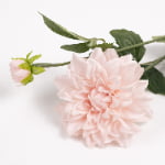 62cm Real-Touch Sharon Dahlia Stem