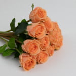 42cm Real-Touch 12 Heads Luna Rose Bundle