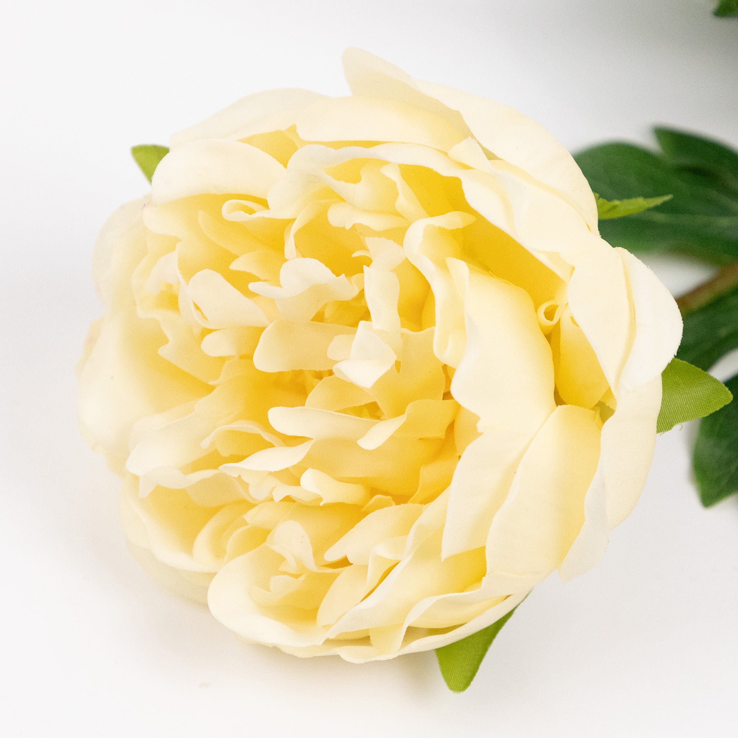 60cm Real-Touch Lydia Peony Stem