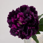 52cm Real-Touch Phoebe Peony Stem