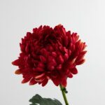74cm Real-Touch Chrysanthemum Stem