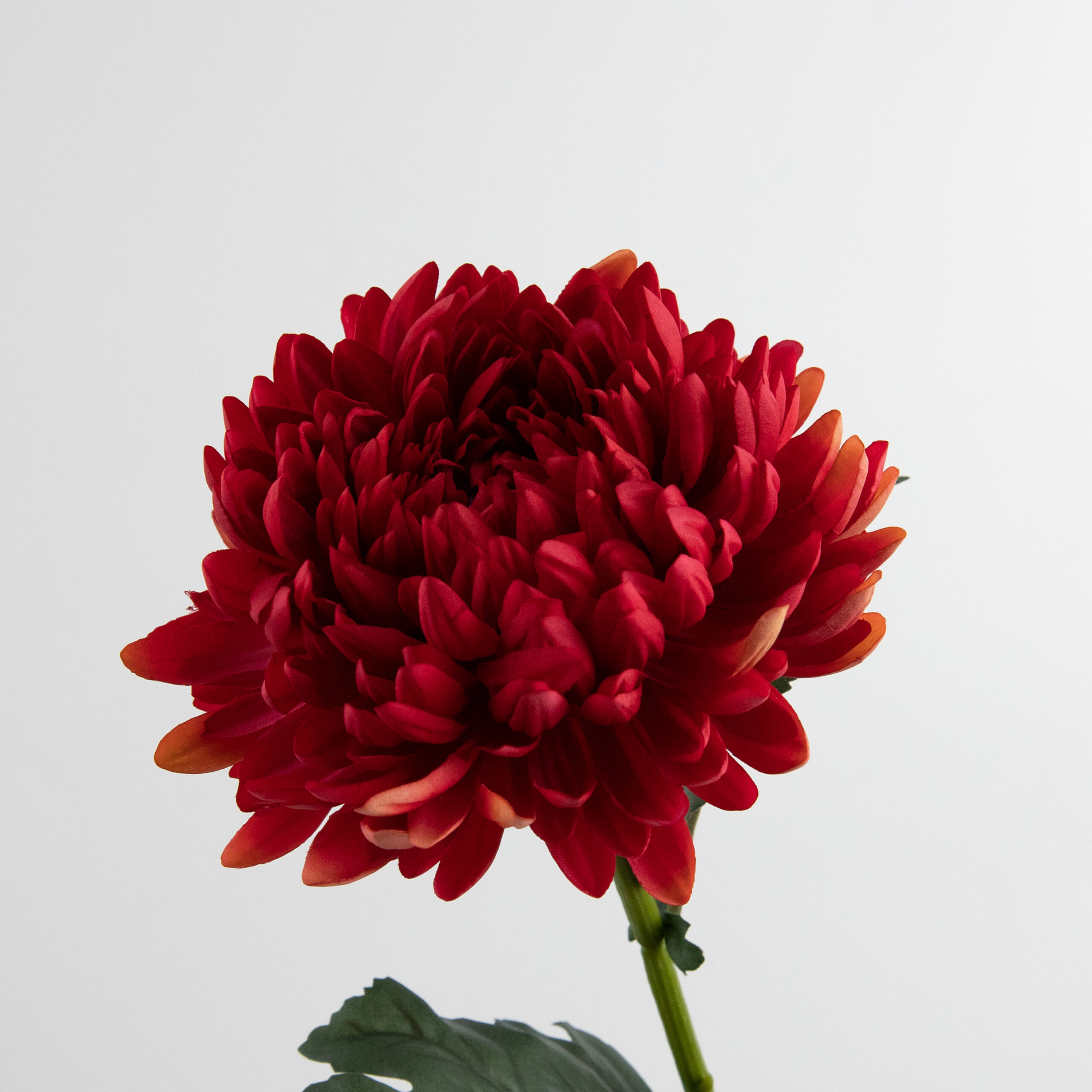 74cm Real-Touch Chrysanthemum Stem