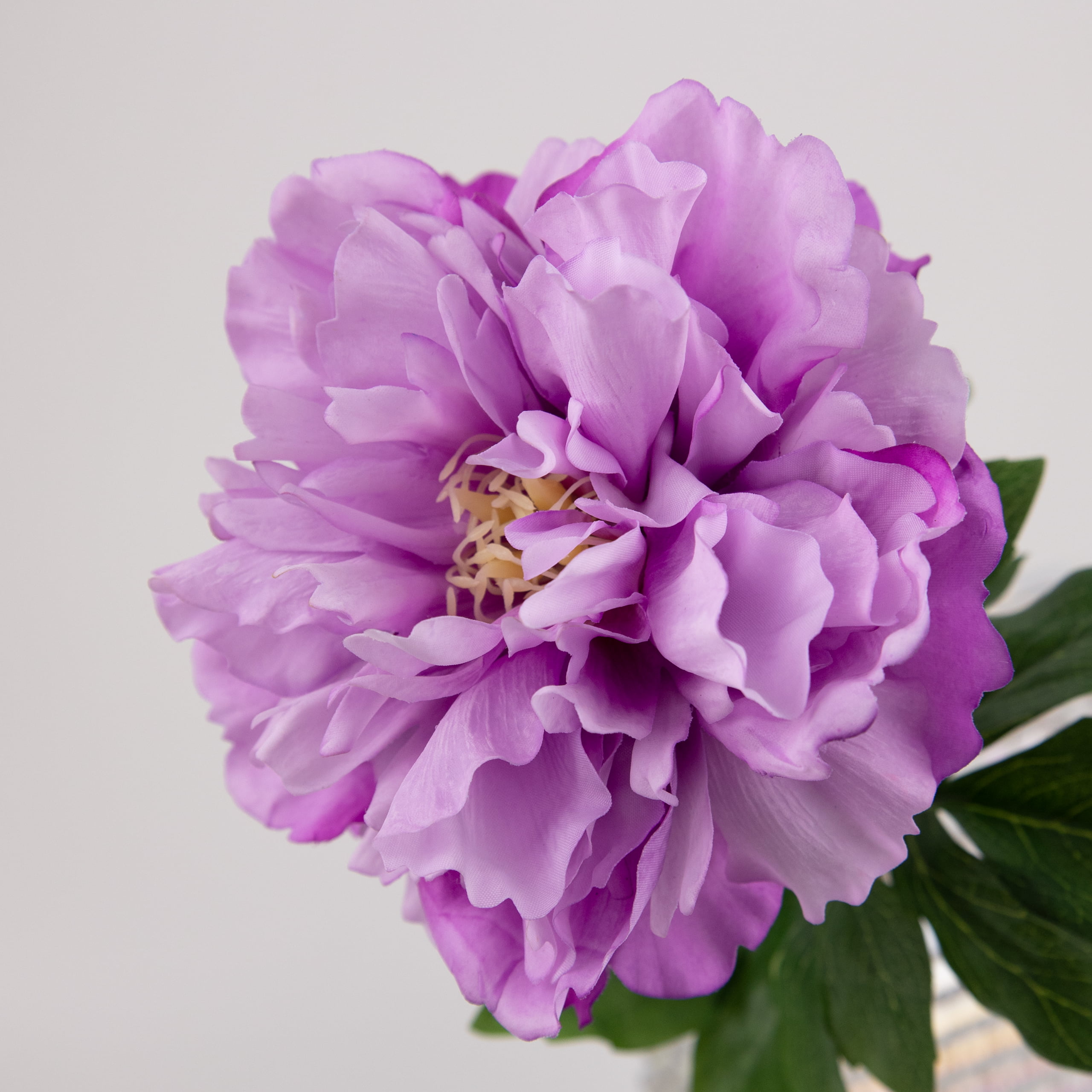 52cm Real-Touch Phoebe Peony Stem