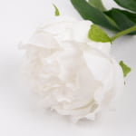 60cm Real-Touch Lydia Peony Stem