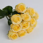 42cm Real-Touch 12 Heads Luna Rose Bundle