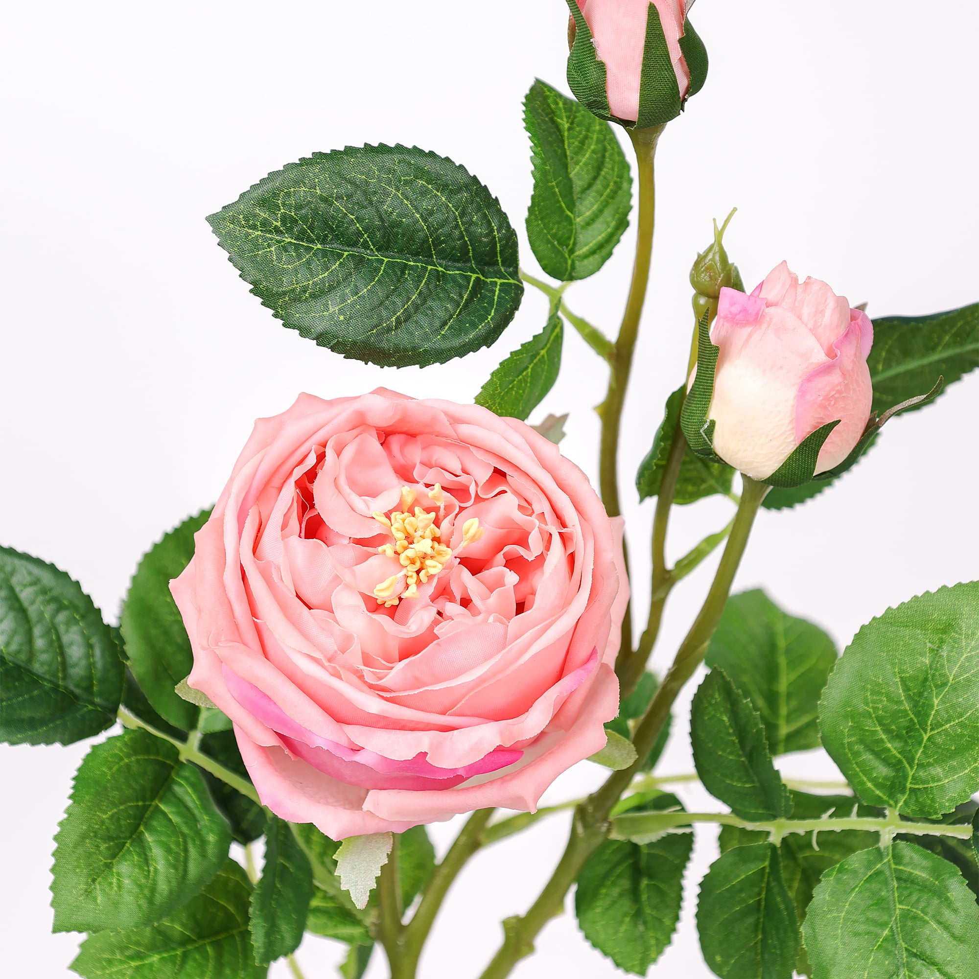 71cm Real-Touch 3 Heads Austin Rose Spray
